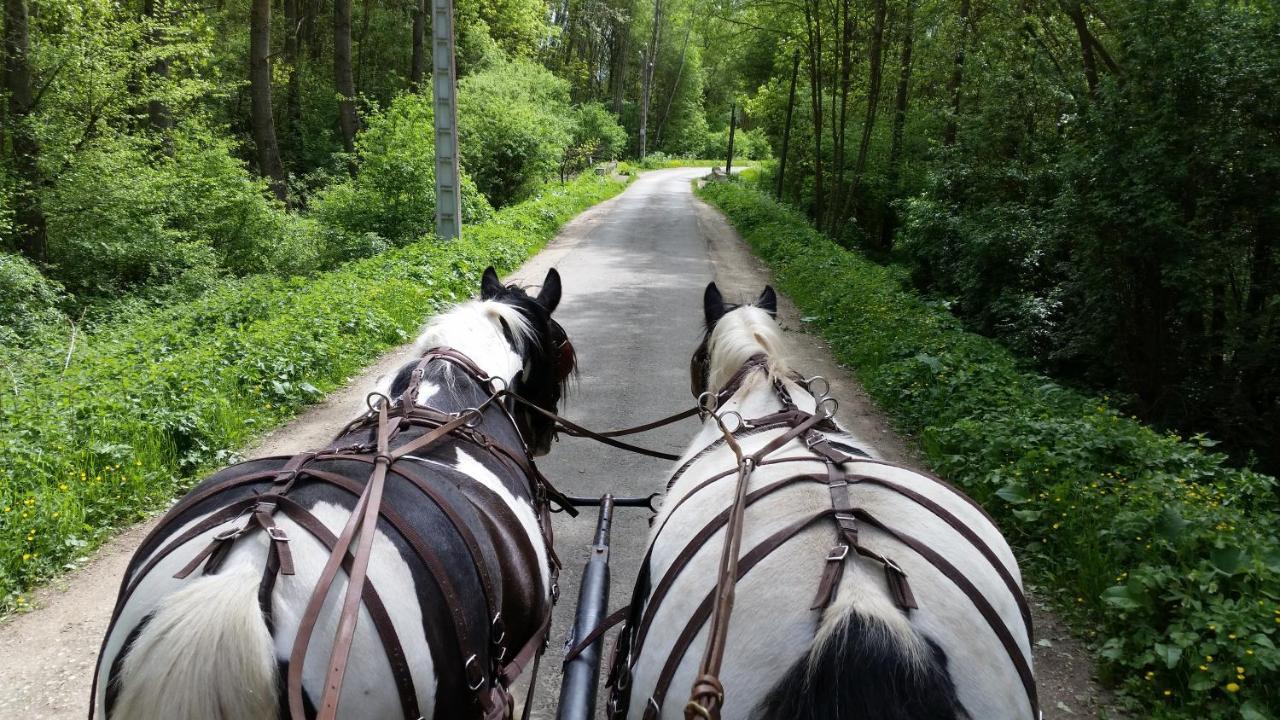 Les Chevaux De L'Hippocampe Hotel Mont-Dol Exterior photo